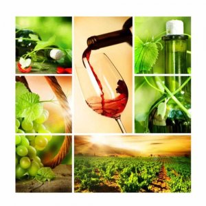 Servetele Lindy Vin, Dimensiune 33x33 cm, 3 Straturi, 20 Foi/Pachet Servetele Lindy Vin, Dimensiune 33x33 cm, 3 Straturi, 20 Foi/Pachet