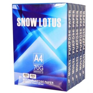 Set 5 Topuri Hartie Copiator SNOW LOTUS, A4, 500 Coli/Top, 70 g/m²