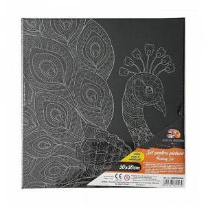 Panza pentru Pictura Predesenata pe Sasiu Neagra, Model Paun, School Friendly Sf Art, Dimensiune 300x300 mm