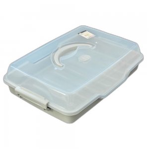 Cutie de Prajitura Dreptunghiulara cu Maner, Material Plastic, Culoare Gri Cutie de Prajitura Dreptunghiulara cu Maner, Material Plastic, Culoare Gri