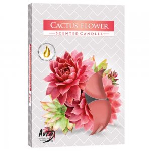 Set 6 Lumanari Parfumate Tip Pastila, Cactus Flower Set 6 Lumanari Parfumate Tip Pastila, Cactus Flower