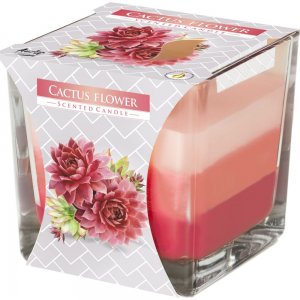 Lumanare Parfumata in Pahar de Sticla in 3 Culori, Cactus Flower