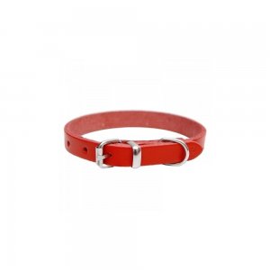 Zgarda pentru Caini Simpla Rosie, 10x290 mm