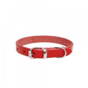 Zgarda pentru Caini Simpla Rosie, 12x360 mm