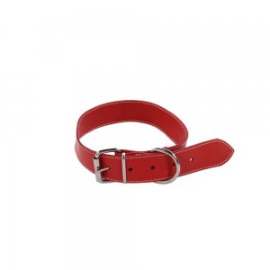 Zgarda pentru Caini Simpla Rosie, 30x620 mm