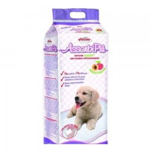 Covorase Absorbante Record, Dimensiune 60x90 cm, 10 Buc/Pachet Covorase Absorbante Record, Dimensiune 60x90 cm, 10 Buc/Pachet