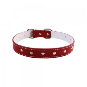 Zgarda Ornamente Rosie, 12x360 mm Zgarda Ornamente Rosie, 12x360 mm