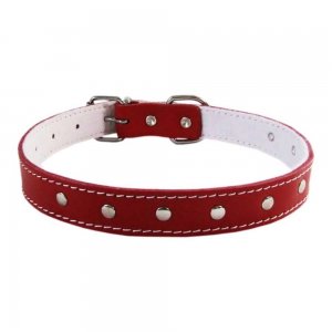 Zgarda Ornamente Rosie, 16x400 mm Zgarda Ornamente Rosie, 16x400 mm