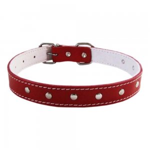 Zgarda Ornamente Rosie, 20x450 mm Zgarda Ornamente Rosie, 20x450 mm