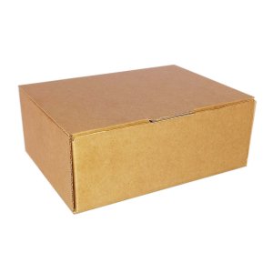 Cutii cu Autoformare din Carton Micro Kraft (Natur), Dimensiuni 160x100x65, 100 Buc/Set Cutii cu Autoformare din Carton Micro Kraft (Natur), Dimensiuni 160x100x65, 100 Buc/Set