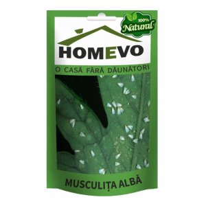Insecticid Homevo Musculita Alba, 50 g
