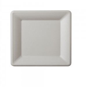 Farfurie Patrata, 25x25 cm, 50 Buc/Set, Farfurie Biodegradabila Alba din Trestie de Zaha - Farfurii Ecologice si Compostabile