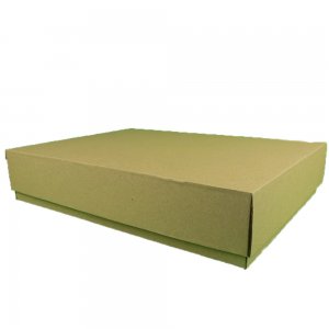 Set 100 Cutii cu Capac, 440x325x65 mm, Carton Natur Set 100 Cutii cu Capac, 440x325x65 mm, Carton Natur