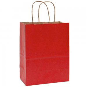 Set 100 Bucati Pungi Natur cu Maner din Hartie Colorata, 25x9x30cm, 90 g/mp, Rosu, Punga Din Hartie pentru Evenimente, Punga din Hartie pentru Ocazii, Set de Pungi Natur Ieftine, Set de Pungi Rosi din Hatie