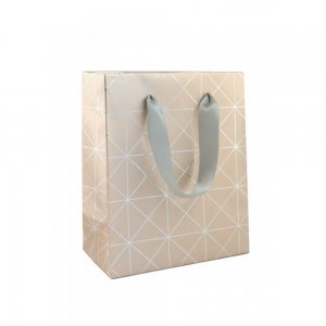 Punga Cadou Rotolux Wish and Shine L, 240x100x335mm, Punga pentru Cadou Cu Model, Punga Cadou Colorata, Punga Cadou pentru Ocazii