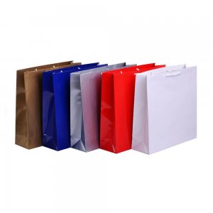 Pungi de Cadou Plastifiate, 12 Buc/Set, Diverse Culori, Plase Plastic de Cadou, Pungi Daruri, Pungi Colorate de Plastic Cadouri, Sacose Plastic de Cadouri, Sacosa Cadou, Set Pungi Cadou, Set Sacose Plastic pentru Cadou, Ambalaje Cadouri Pungi de Cadou Plastifiate, 12 Buc/Set, Diverse Culori, Plase Plastic de Cadou, Pungi Daruri, Pungi Colorate de Plastic Cadouri, Sacose Plastic de Cadouri, Sacosa Cadou, Set Pungi Cadou, Set Sacose Plastic pentru Cadou, Ambalaje Cadouri