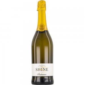 Vin Spumant Alb Brut Budureasca Shine, 12% Alcool, 0.75 L, Vin Alb, Alb Brut, Alb Spumant, Spumant Alb, Vinuri Spumante, Vinuri Albe, Vinuri Brute, Vin Brut, Spumante Albe, Vin Budureasca, Vinuri Budureasca, Spumant Brut Alb