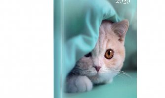 Cele mai bune articole de birotica si papetarie