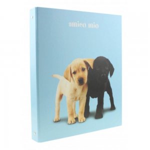 Caiet Mecanic A4 FAVINI Amico Mio, 4 Inele de Prindere, Coperta Cartonata, Caiete Mecanice, Caiete Mecanice A4, Caiet Mecanic cu Inele, Caiet Mecanic A4 Inele, Caiet Tip Mapa, Agenda Mecanica, Agenda Mecanica A4, Biblioraft