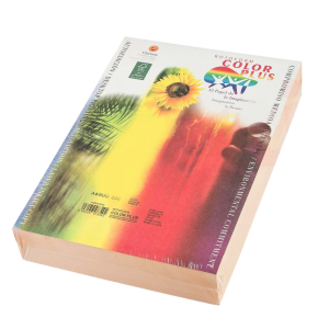 Hartie Colorata Clariana A4, 80 g/m², 500 Coli/Top, Maro Hazelnut, Hartie Colorata pentru Invitatii, Hartie Copiator, Rechizite Scolare, Papetarie