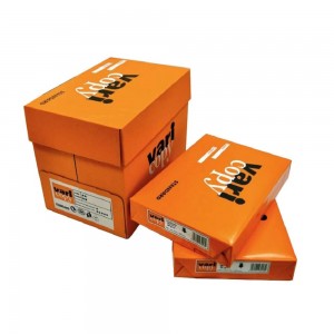 Set 5 Buc Hartie Copiator A4 Vari Copy, 500 Coli/Top, 80 g/m² - Hartie pentru Xerox si Imprimanta Set 5 Buc Hartie Copiator A4 Vari Copy, 500 Coli/Top, 80 g/m² - Hartie pentru Xerox si Imprimanta