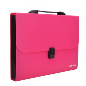 Servieta din Plastic cu Maner A4 Deli, 13 Compartimente, 600 Microni, Roz, Servieta pentru Documente, Mapa Compartimentata pentru Documente, Servieta Compartimentata Colorata, Servieta cu Maner Deli, Mapa Documente Ieftina Servieta din Plastic cu Maner A4 Deli, 13 Compartimente, 600 Microni, Roz, Servieta pentru Documente, Mapa Compartimentata pentru Documente, Servieta Compartimentata Colorata, Servieta cu Maner Deli, Mapa Documente Ieftina