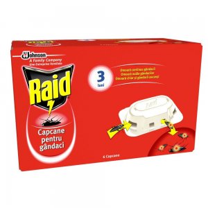 Set 6 Capcane pentru Taratoare Raid, Protectie 3 Luni, Capcana pentru Insecte, Set 6 Capcane Pentru Gandaci, Insecticid Raid, Insecticide Raid, Solutie Impotriva Insectelor Raid, Solutii Impotriva Insectelor Raid, Solutie Impotriva Gandacilor Raid Set 6 Capcane pentru Taratoare Raid, Protectie 3 Luni, Capcana pentru Insecte, Set 6 Capcane Pentru Gandaci, Insecticid Raid, Insecticide Raid, Solutie Impotriva Insectelor Raid, Solutii Impotriva Insectelor Raid, Solutie Impotriva Gandacilor Raid
