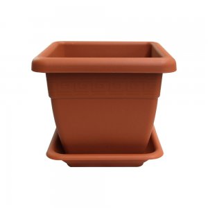 Ghiveci Patrat M2 Sentosa, 15 cm, Maro, Ghiveci Patrat pentru Plante, Ghiveci pentru Planta, Ghiveci Maro pentru Plante, Ghiveci pentru Floare, Ghiveci Patrat pentru Flori, Ghiveci Patrat Sentosa Maro pentru Flori, Articole Decorative pentru Plante Ghiveci Patrat M2 Sentosa, 15 cm, Maro, Ghiveci Patrat pentru Plante, Ghiveci pentru Planta, Ghiveci Maro pentru Plante, Ghiveci pentru Floare, Ghiveci Patrat pentru Flori, Ghiveci Patrat Sentosa Maro pentru Flori, Articole Decorative pentru Plante