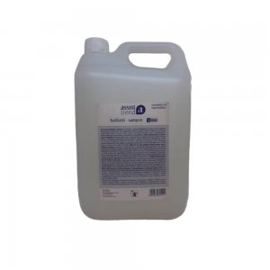 Sampon - Gel de Dus Assist Trend, Incolor, 5 L, Bidon Sampon, Bidon Gel de Dus, Sampon 2 in 1, Gel de Dus 2 in 1, Gel de Dus Delicat, Sampon Delicat, Gel de Dus Piele Moale, Gel de Dus pentru Piele Moale, Gel de Dus Delicat cu Pielea