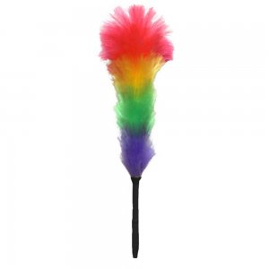 Desprafuitor Electrostatic Misavan, Multicolor, Desprafuitor Misavan, Desprafuitor Electrostatic, Desprafuitor Multiciolor, Desprafuitor pentru Casa, Misavan Desprafuitor, Pamatuf Praf, Pamatuf Praf Misavan, Pamatuf Electrostatic Misavan 