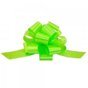 Fundite Mici, 20 Buc/Set, Culoare Verde Deschis, Funda Verde Deschis, Funde cu Autoformare, Funda Cadou, Funda Autoformare, Panglica Cadou, Fundite Cadouri, Fundite cu Autoformare, Funda Rapida, Decoratiuni Cadouri Fundite Mici, 20 Buc/Set, Culoare Verde Deschis, Funda Verde Deschis, Funde cu Autoformare, Funda Cadou, Funda Autoformare, Panglica Cadou, Fundite Cadouri, Fundite cu Autoformare, Funda Rapida, Decoratiuni Cadouri