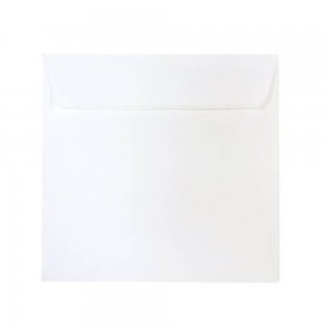 Set 25 Plicuri Siliconice DACO, Alb, 16x16 cm, 120 g/m², Plicuri Simple, Plicuri Siliconice, Set Plicuri, Plicuri Albe, Plicuri Daco