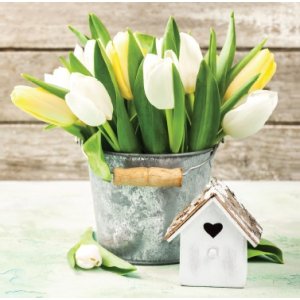 Servetele 33x33cm 3straturi Set20 Galetuta Cu Lalele Servetele 33x33cm 3straturi Set20 Galetuta Cu Lalele