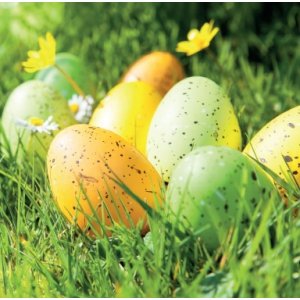 Servetele 33x33cm 3straturi Set20 Model Oua Paste In Iarba Servetele 33x33cm 3straturi Set20 Model Oua Paste In Iarba