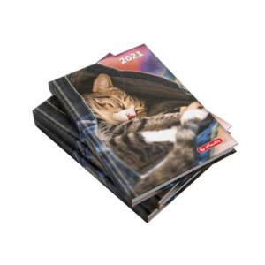 Agenda A5 Datata 352 Pagini + 16 Pagini Zentangle Motiv Kitty 2021 Agenda A5 Datata 352 Pagini + 16 Pagini Zentangle Motiv Kitty 2021