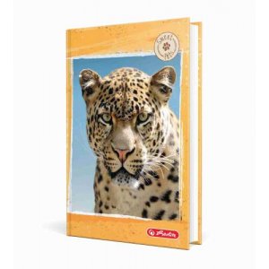 Agenda A6 Nedatata 352 Pagini Motiv Jaguar Agenda A6 Nedatata 352 Pagini Motiv Jaguar