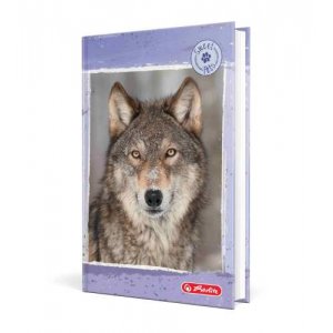 Agenda A6 Nedatata 352 Pagini Motiv Lup Agenda A6 Nedatata 352 Pagini Motiv Lup