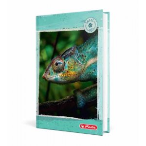 Agenda A6 Nedatata 352 Pagini Motiv Cameleon Agenda A6 Nedatata 352 Pagini Motiv Cameleon
