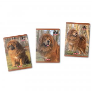 Caiet A5 48f Dictando Motiv Boss Phantom