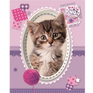 Bloc Desen A4 75 File Ilustrat Pretty Pets