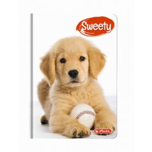 Agenda A6 Nedatata Sweety 352 File Motiv Golden Retriever Agenda A6 Nedatata Sweety 352 File Motiv Golden Retriever