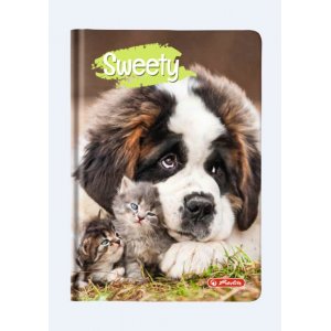 Agenda A6 Nedatata Sweety 352 File Motiv Saint Bernard Agenda A6 Nedatata Sweety 352 File Motiv Saint Bernard