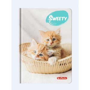 Agenda A6 Nedatata Sweety 352 File Motiv Kittens Agenda A6 Nedatata Sweety 352 File Motiv Kittens