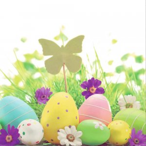 Servetele 33x33cm 3straturi Set20 Model Fluturas Si Oua Paste Servetele 33x33cm 3straturi Set20 Model Fluturas Si Oua Paste