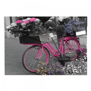Buzunar plastic, inchidere cu capsa, A4, design Bicicleta Buzunar plastic, inchidere cu capsa, A4, design Bicicleta