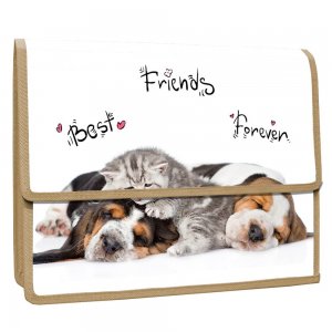 Mapa PP, cu burduf, A4, design Animale