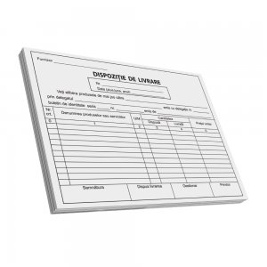 Dispozitie de livrare, A5, 100 file, fata-verso, 3 bucati/set Dispozitie de livrare, A5, 100 file, fata-verso, 3 bucati/set