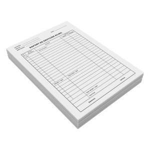 Raport gestiune zilnic, A4, 100 file, fata, 3 bucati/set Raport gestiune zilnic, A4, 100 file, fata, 3 bucati/set