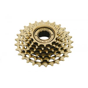 Pinion 6
