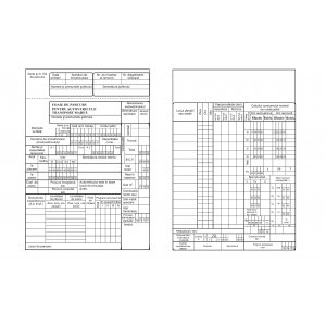 Foaie Parcurs Marfa, Format A4, 100 Coli/carnet Foaie Parcurs Marfa, Format A4, 100 Coli/carnet